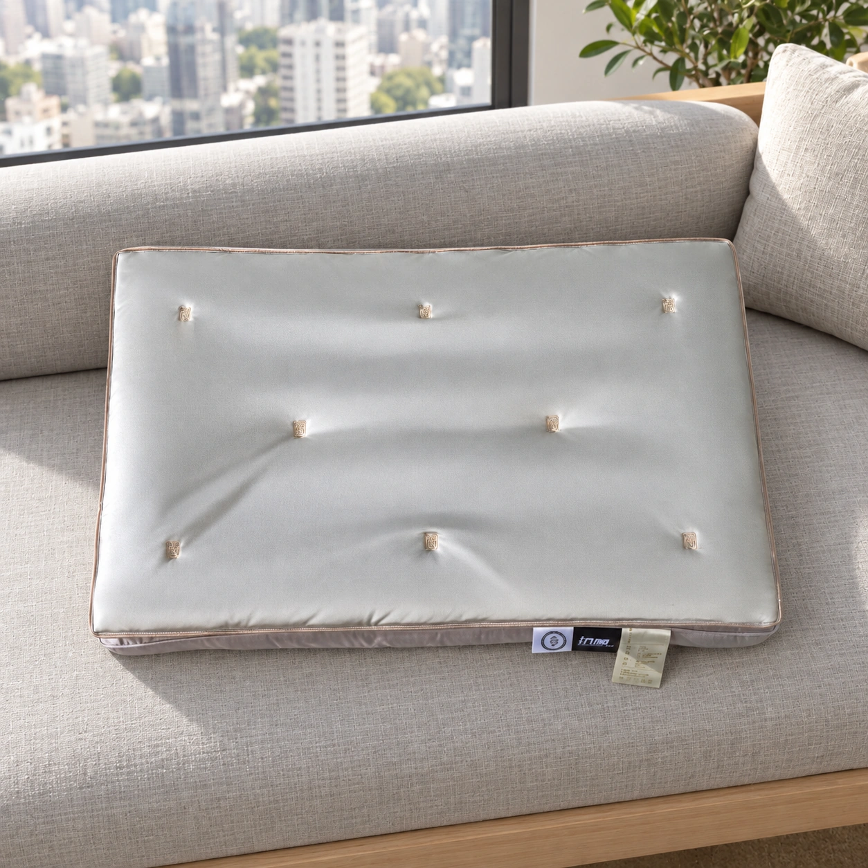 Sixiang Silk-Layer Pillow: City apartment daybed
